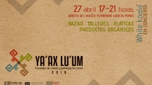 Noticia Punto de Encuentro presenta: VII Encuentro de Cultura y Participación Social "Ya'ax Lu'um"