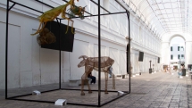 Exposición Argentina en Yucatán